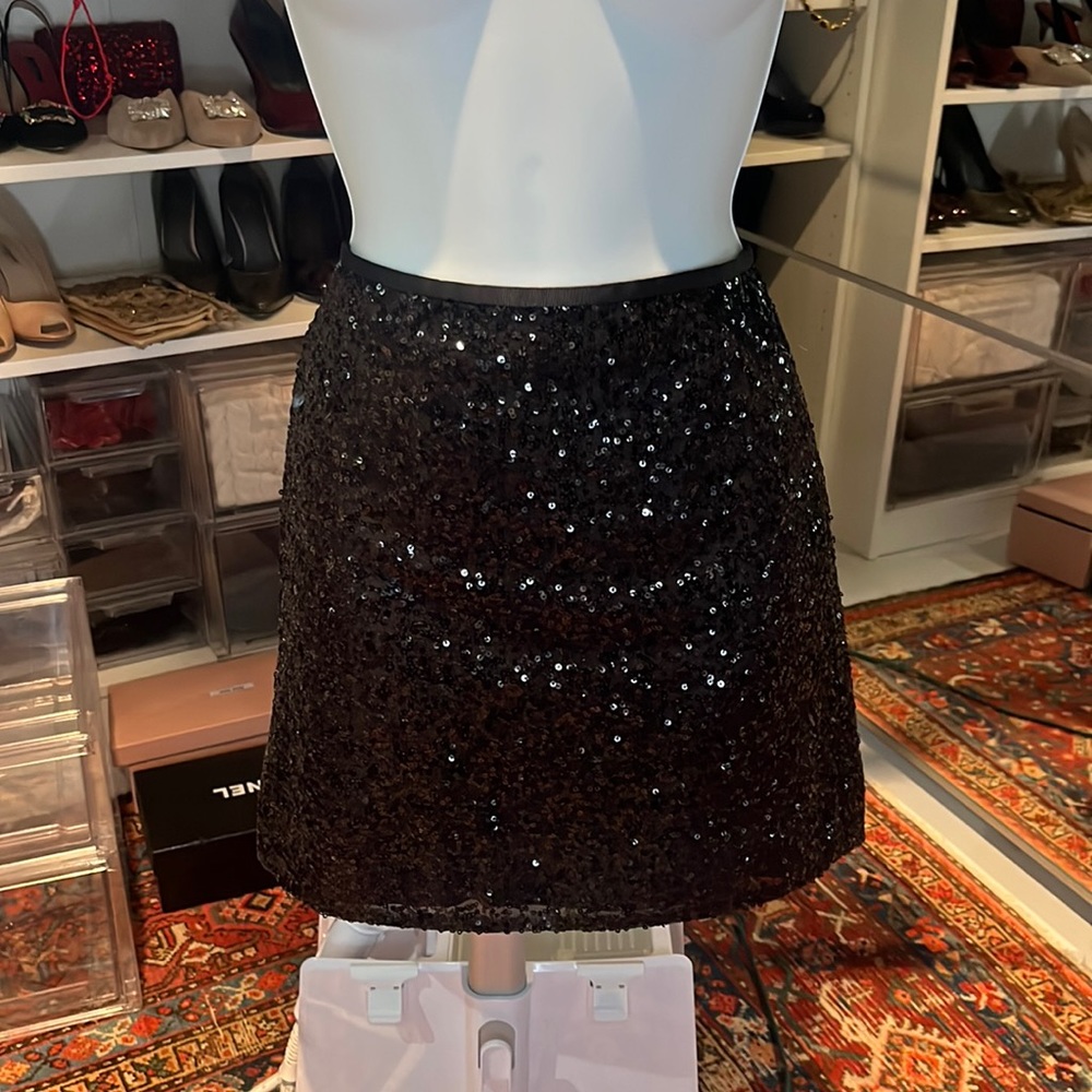 J.Crew skirt